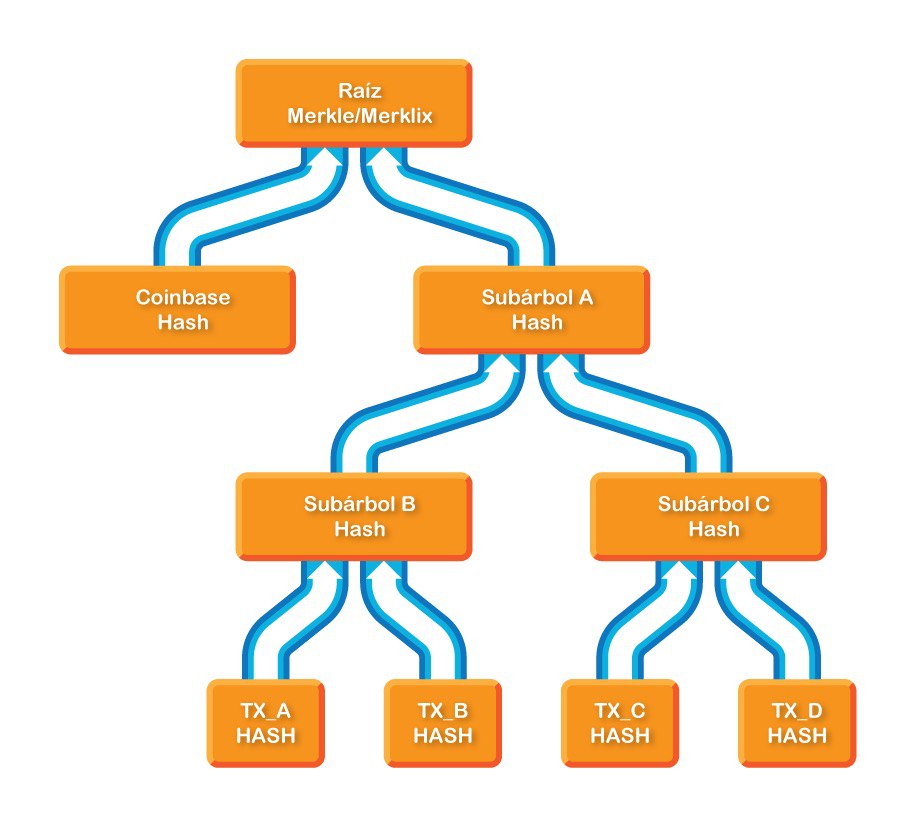 Visualización del cálculo de la raíz Merkle/Merklix
